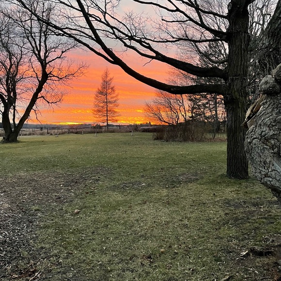 Meet your Posher, Jenny - Picture 1 of 1